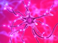 Neurom-image