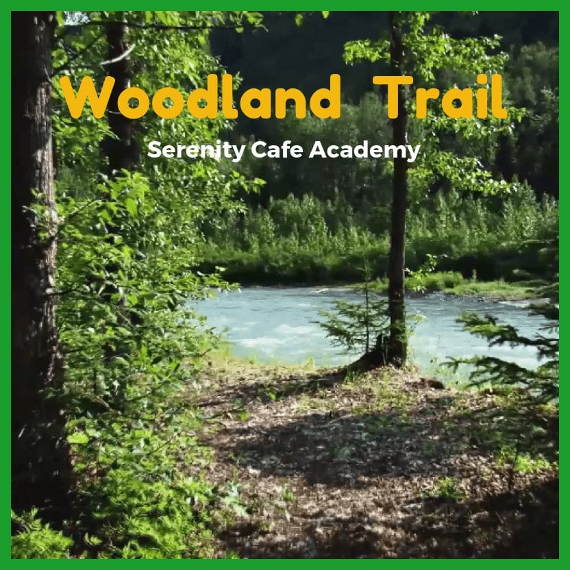 Woodland Trail download Image